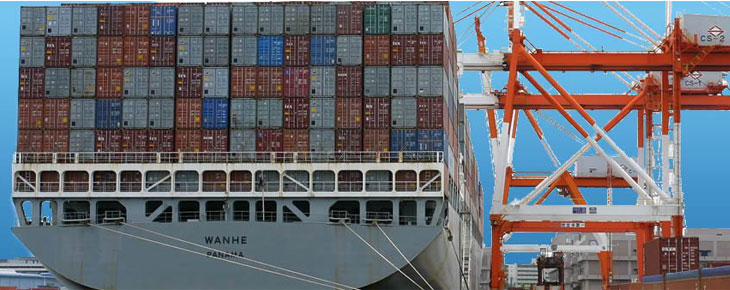 Commercial Consultation about Cargo Clearance & other Trading Fields 